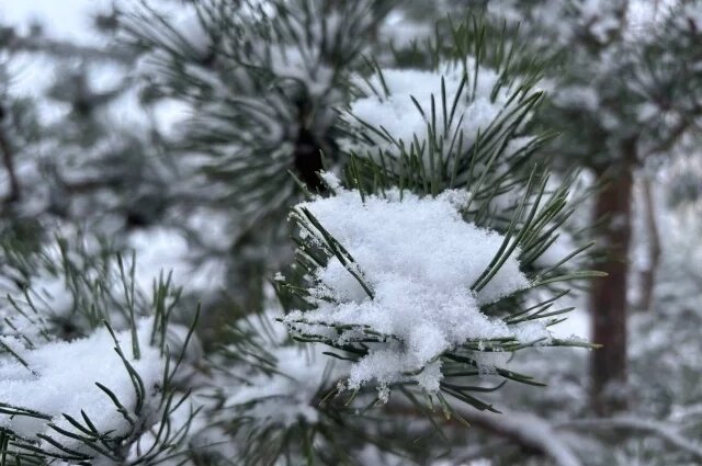    Какие первые признаки обморожения?