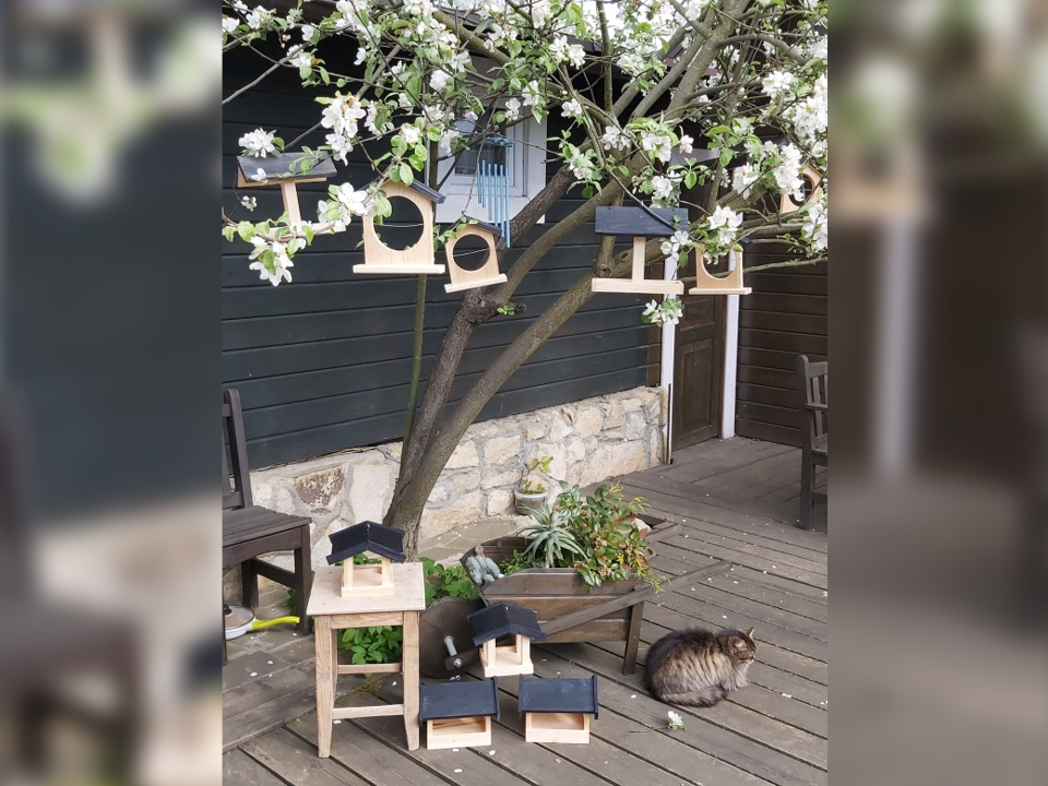     Фото: личный архив Ирины Буряшиной