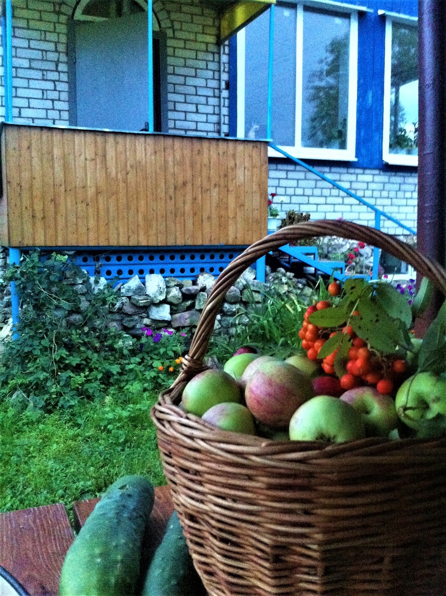 Осень в нашем дворе