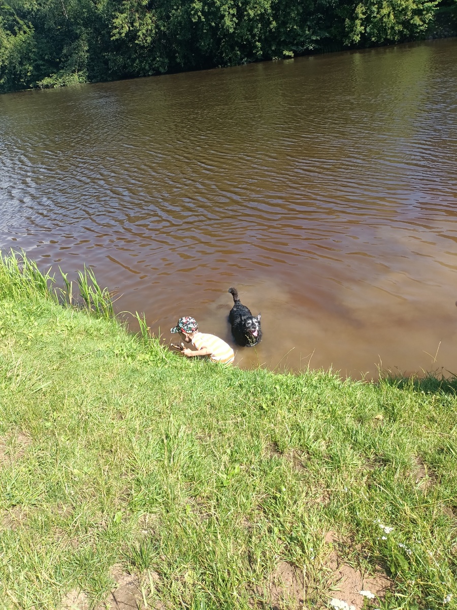 В реке уже купаться не хочется из-за грязи.