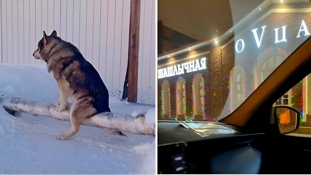 17 смешных фото из России, после которых иностранцы идут к психологу, а наши хохочут до слёз