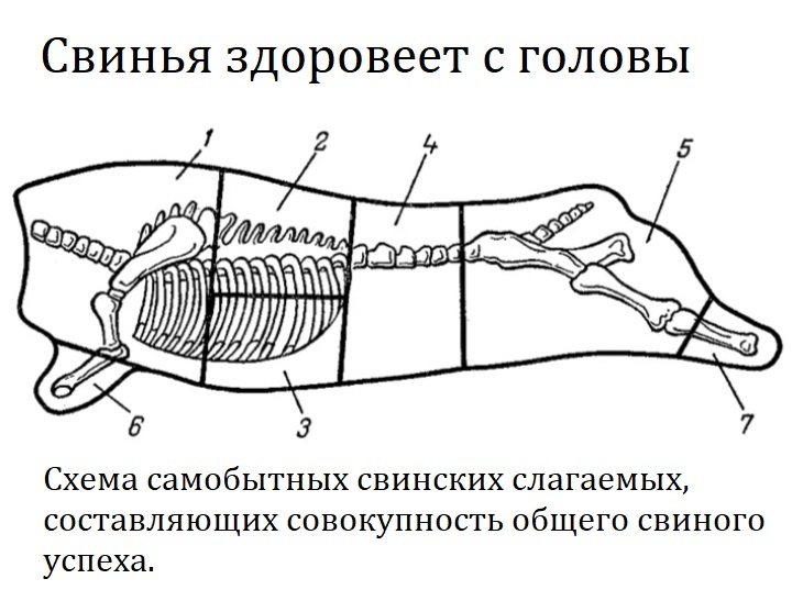 Наглядное пособие Красного Полиблога