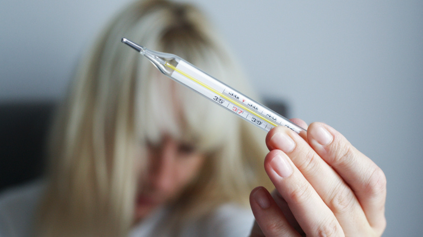    Фото: ИЗВЕСТИЯ/Юлия Майорова; 5-tv.ru