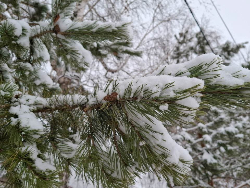    Фото: REGIONS/Юлия Габбасова