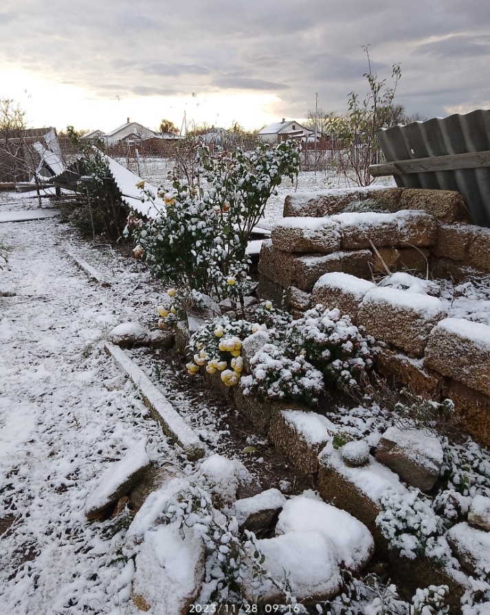 Пока я разгуливала где то там...