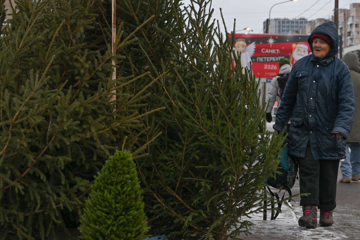 Фото: Александр Гальперин / «Петербургский дневник»