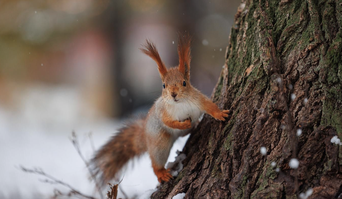    Фото: Олег Сосницкий / Mos.ru