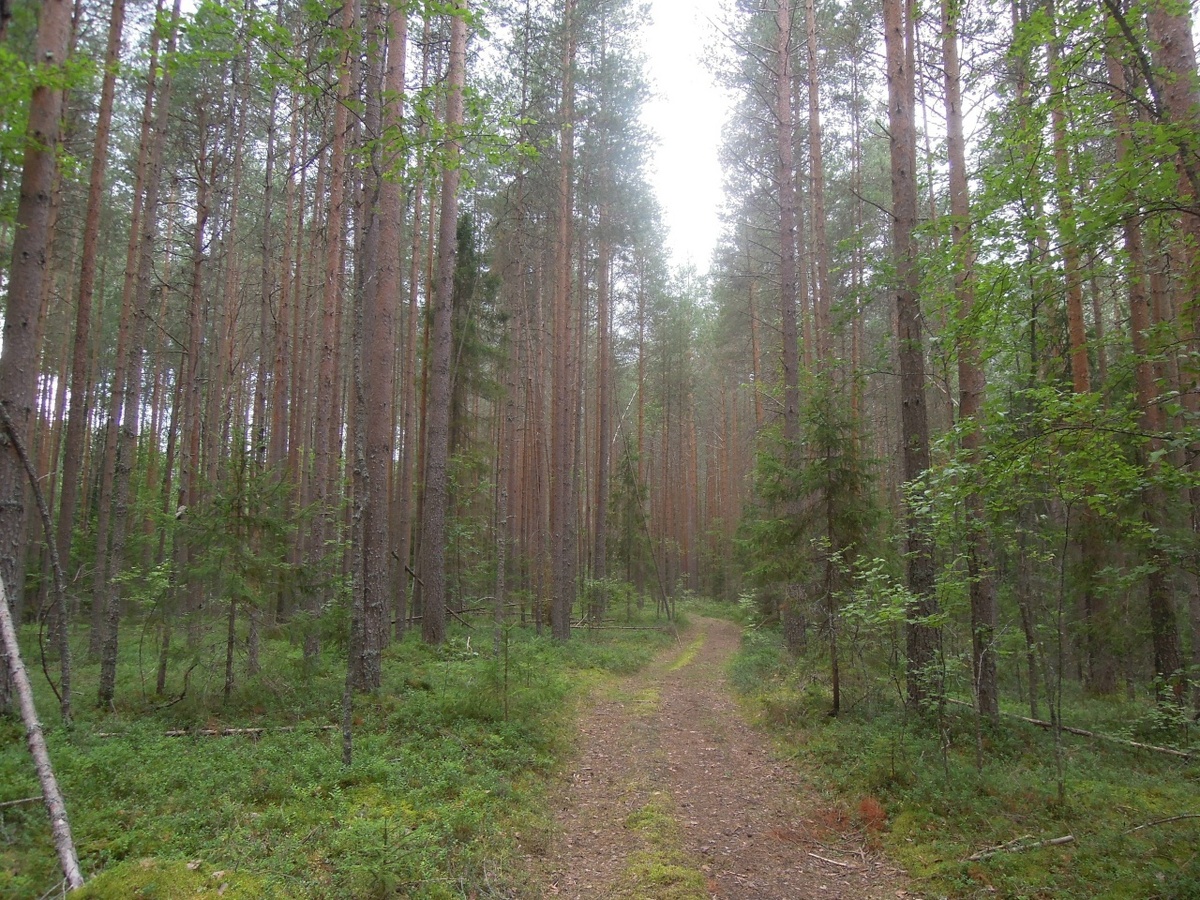  📷

