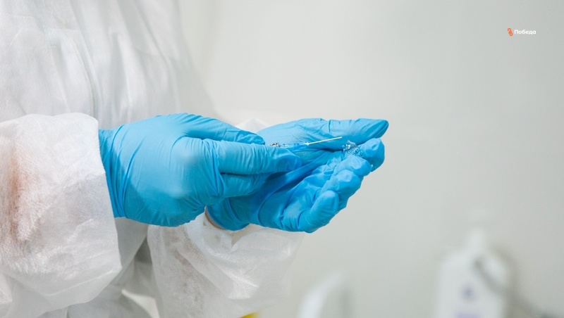      Фото: ИА «Победа26»