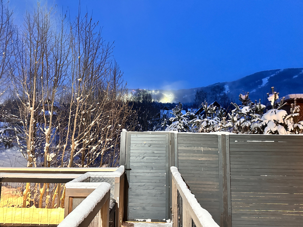 Вид из домика - на горнолыжные трассы.