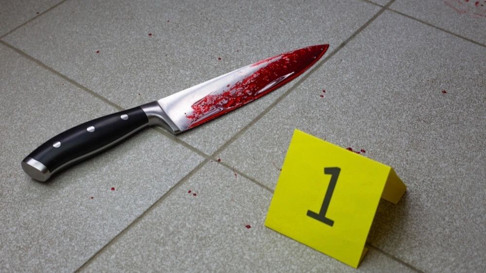    Фото: Timur Malazoniia/Shutterstock/Fotodom