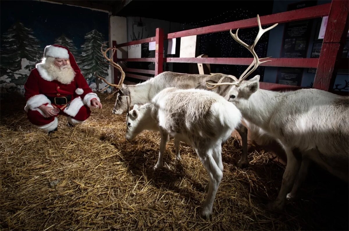 Праздник под угрозой