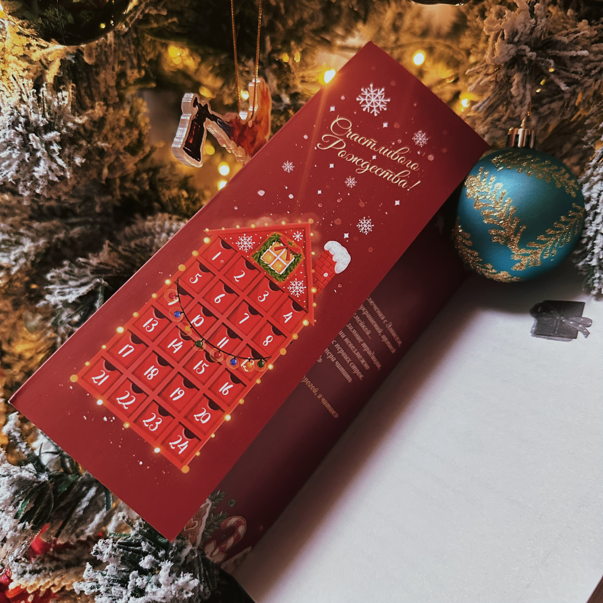 Фото Анны Карповой/Книжная лавка: жизнь любителя почитать