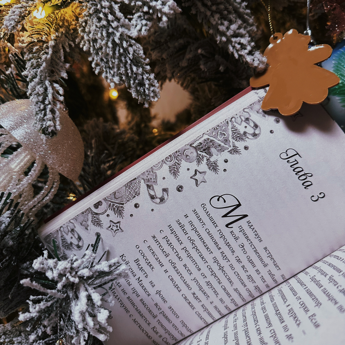 Фото Анны Карповой/Книжная лавка: жизнь любителя почитать