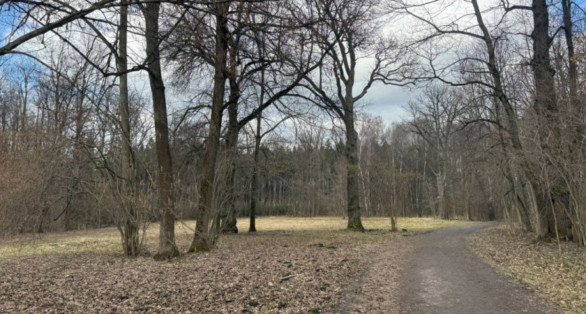    Фото: ПроГород