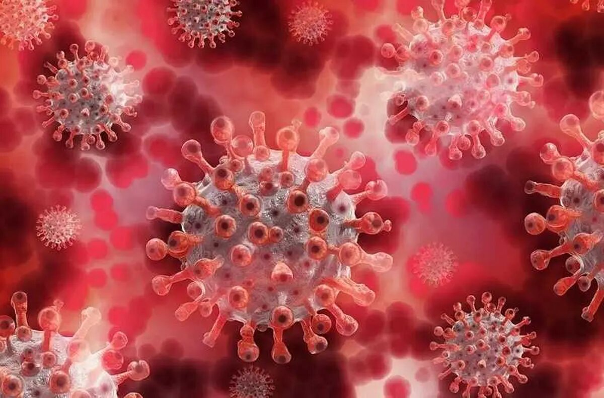    Фото: БрестСИТИ