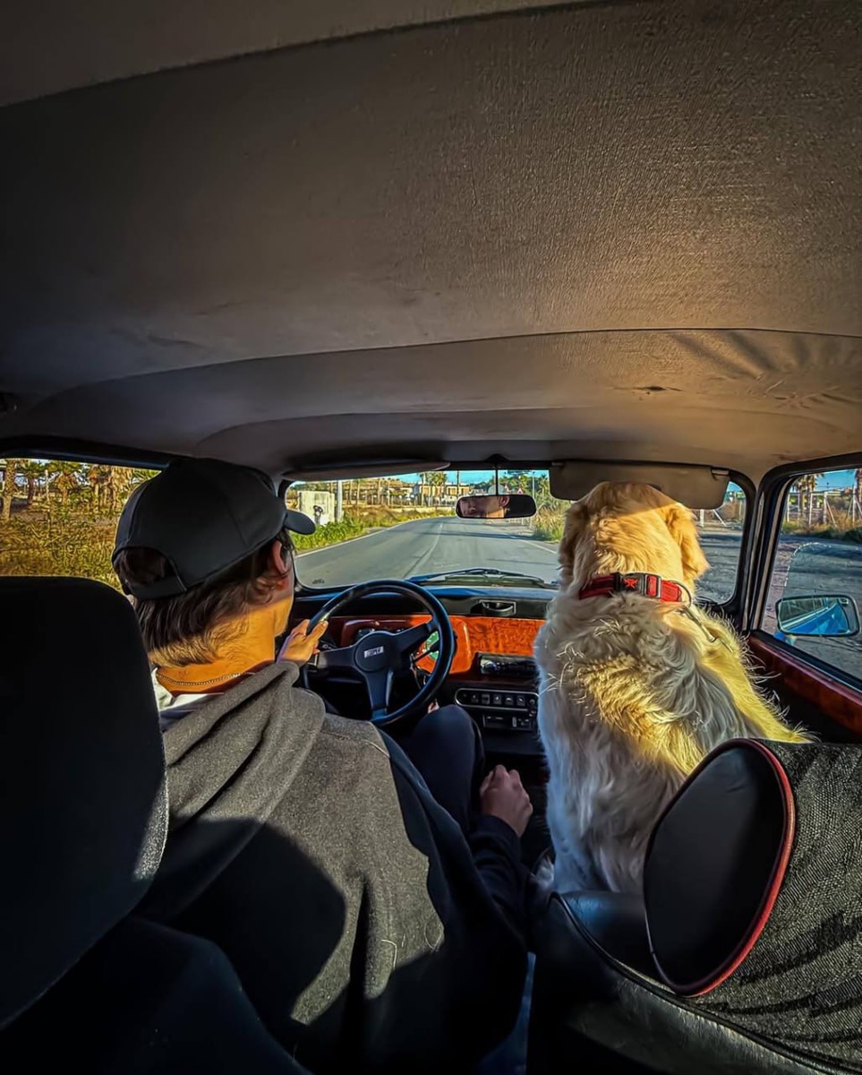 Фото alexdeminaur