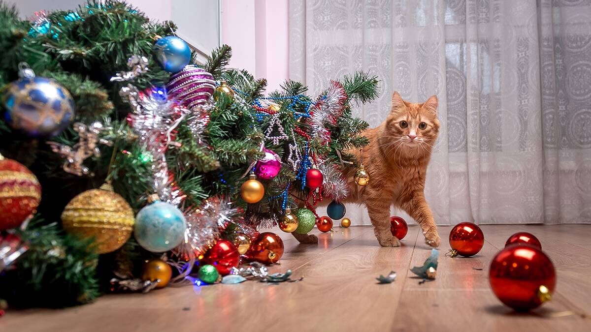    Фото: Shutterstock