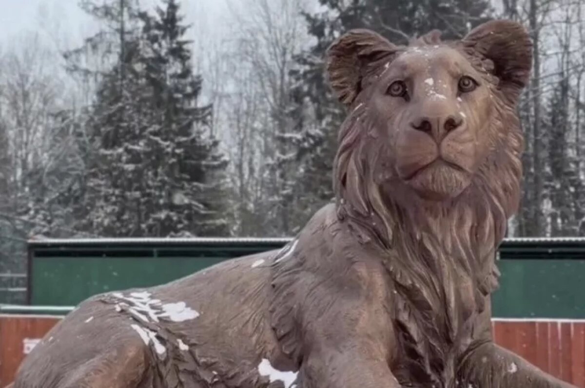    В парке «Земля Прайда» установили памятник погибшему львенку Тайсону