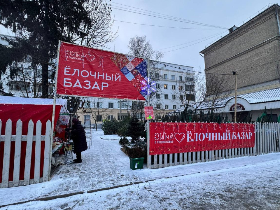    Фото: пресс-служба администрации Сергиево-Посадского г.о.