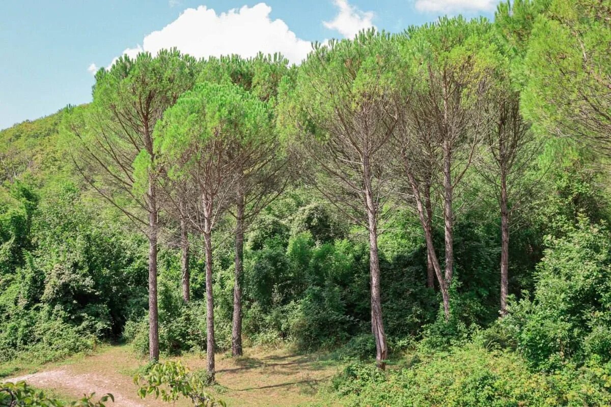    Фото t.me/admkrai