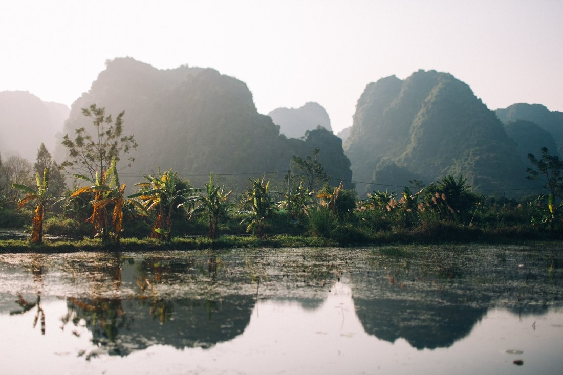 тут и далее фото автора