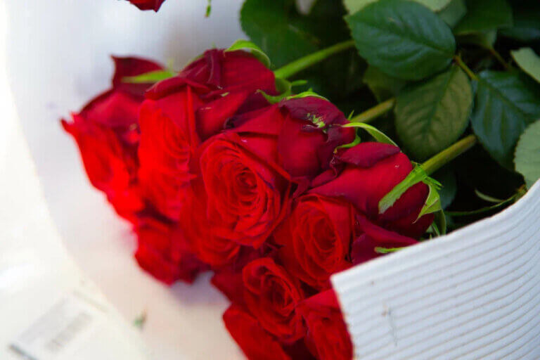    Фото: Общественная Служба Новостей Марта Леви