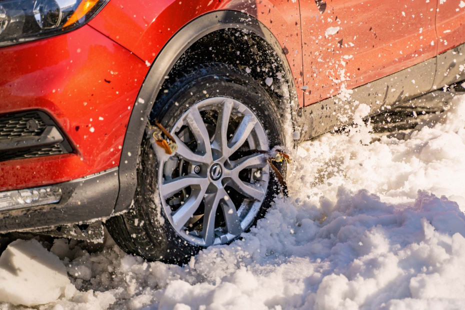    Shutterstock/FOTODOM