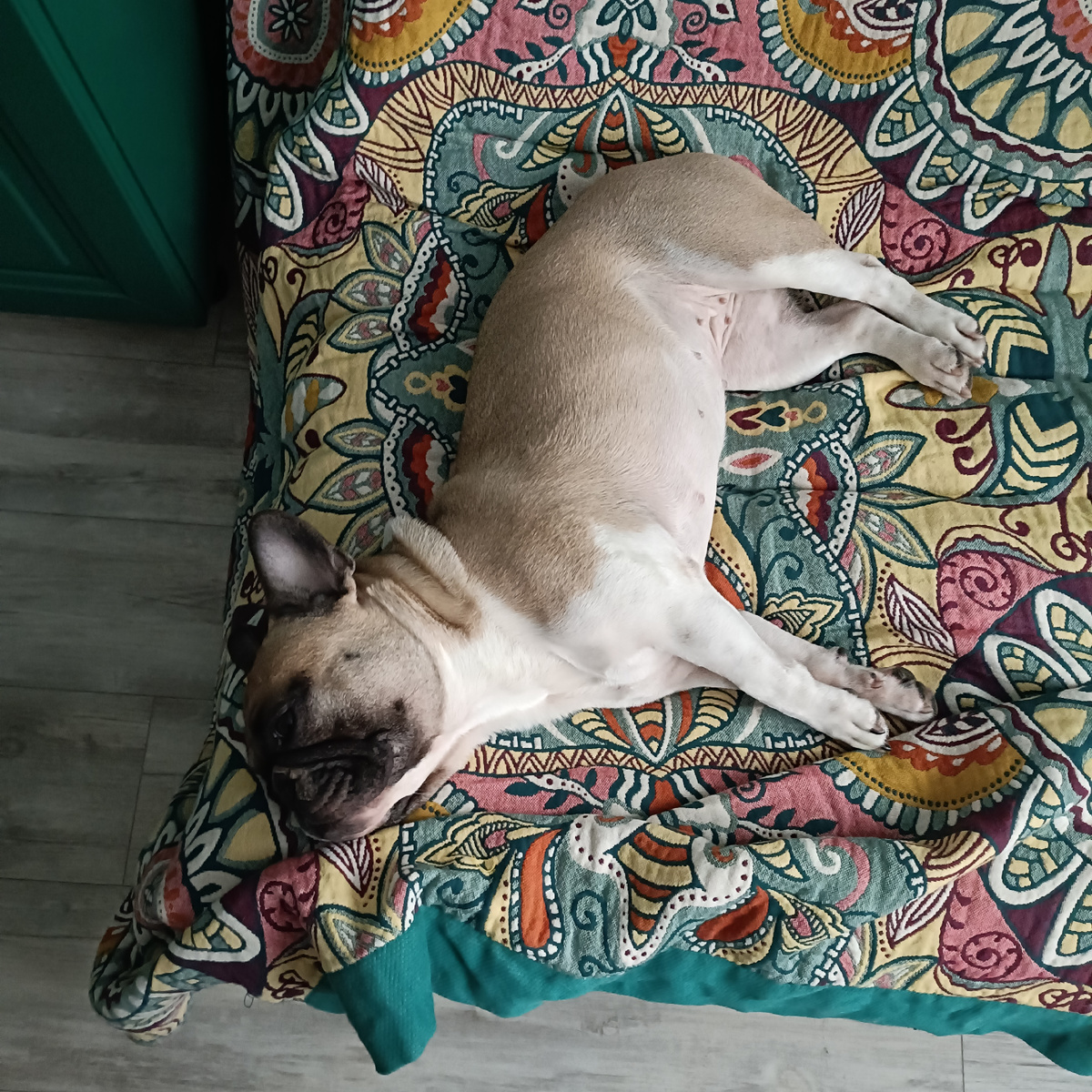 Когда лежит, вроде не дрыщ