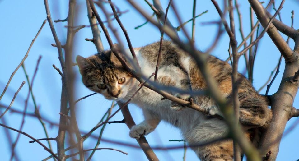    istockphoto.com/photo_Pawel