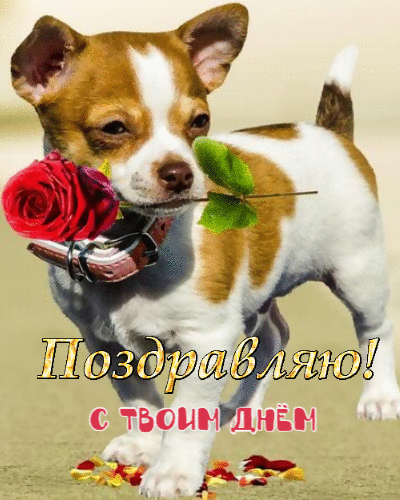 Поздравляю с твоим днем