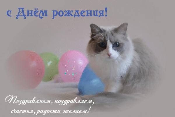 Счастья, радости желаем