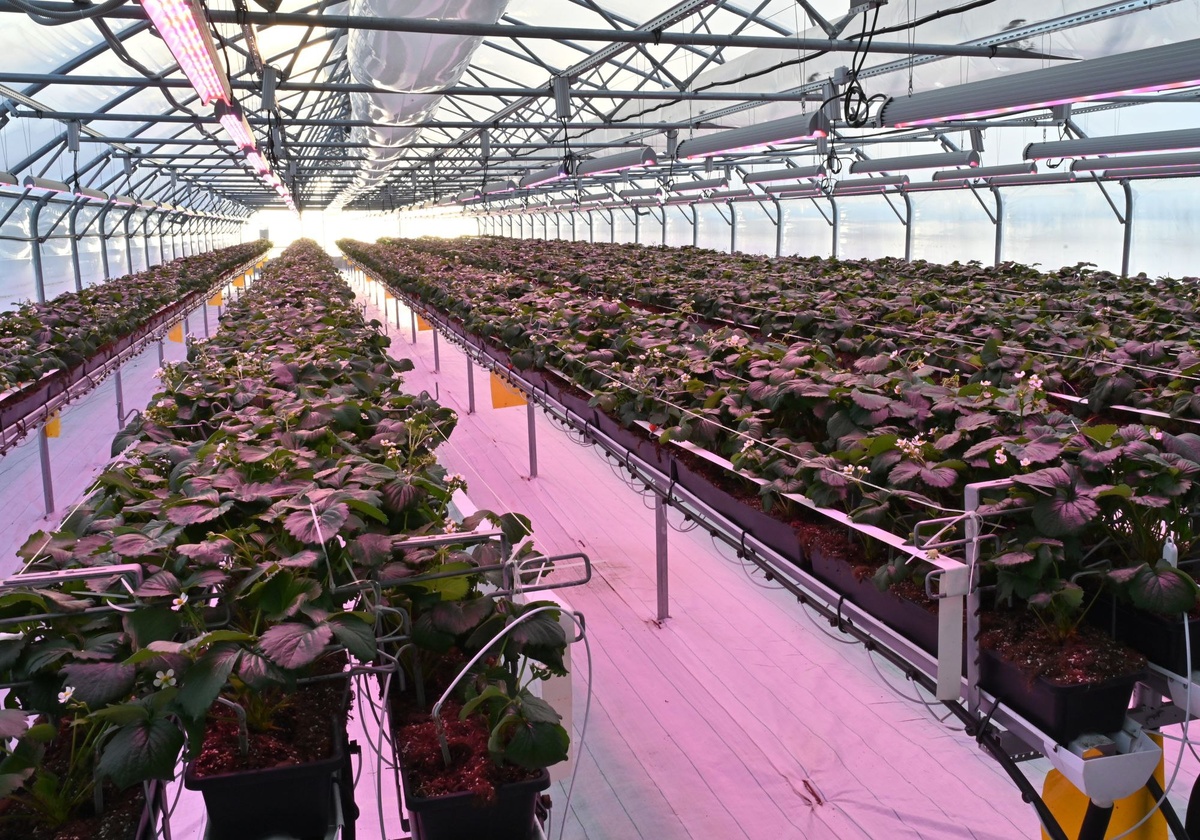    Фото: Ивановская областная Дума, источник: ivoblduma.ru