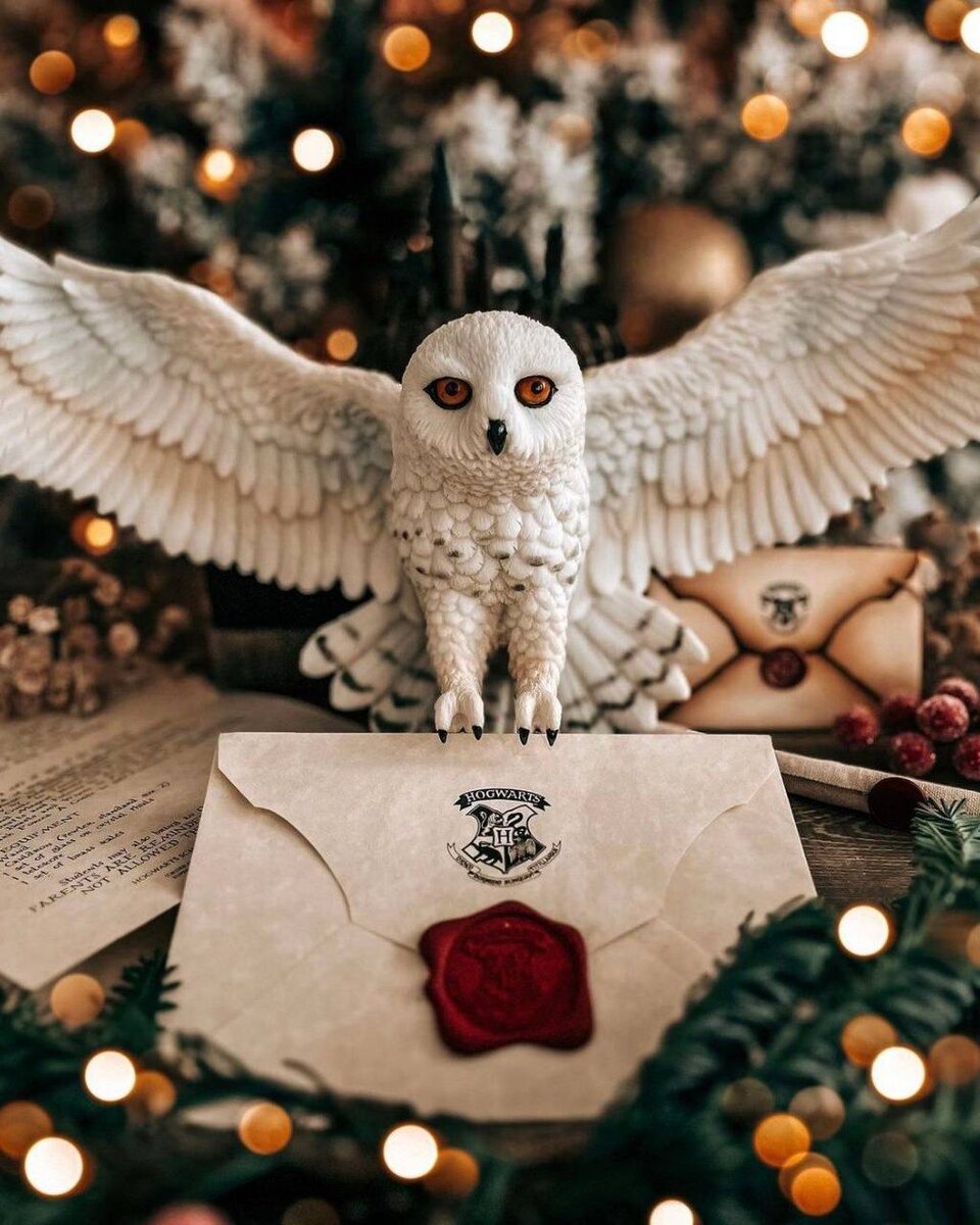 Источник: Pinterest