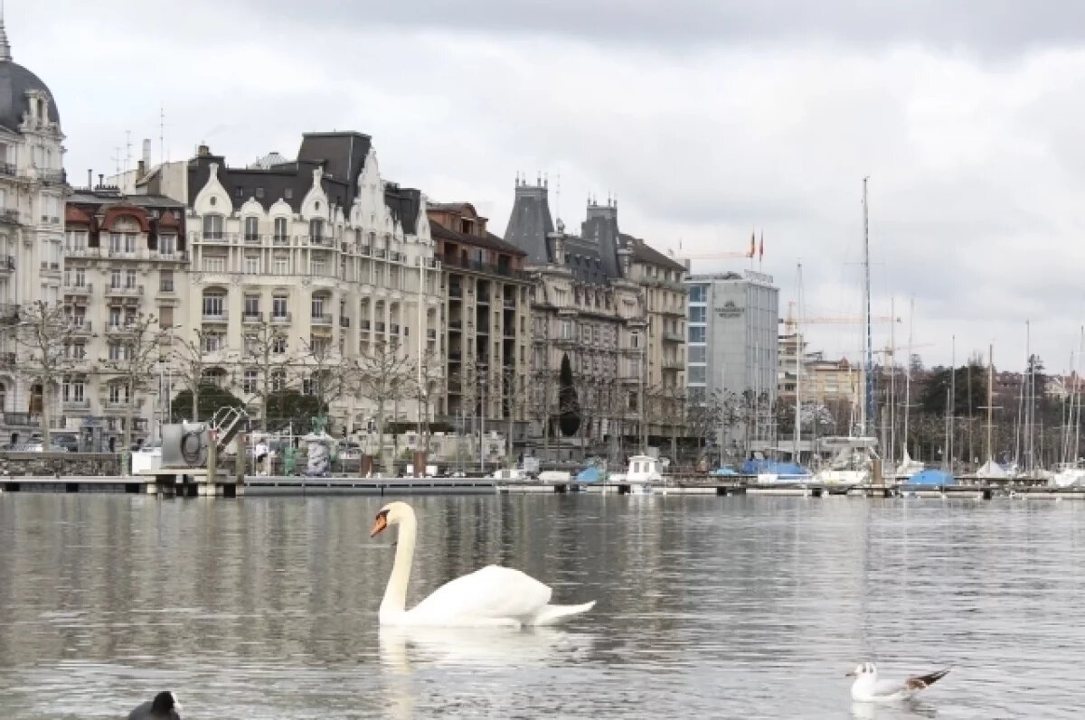    Швейцария депортировала около 100 украинских беженцев с начала СВО