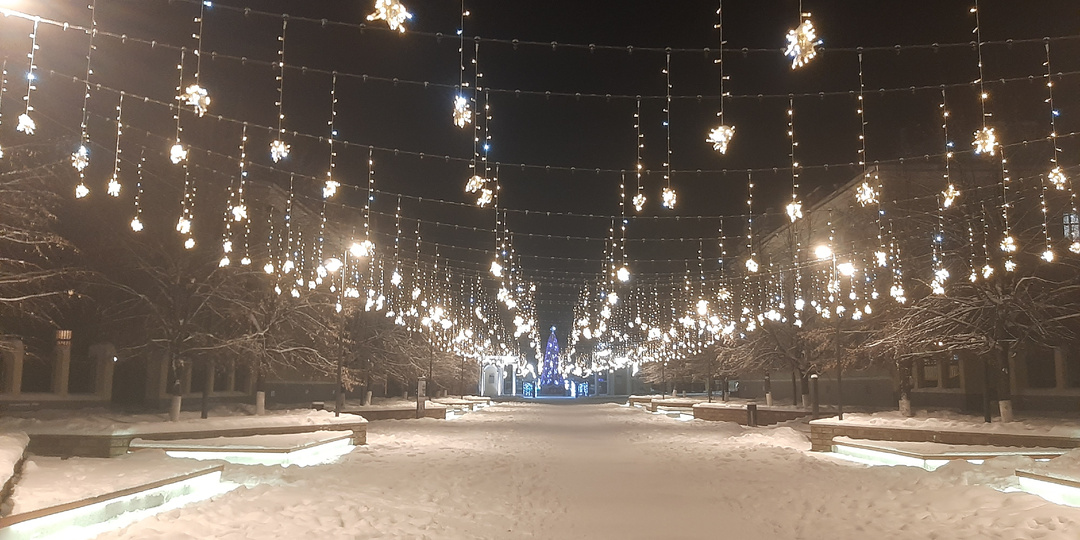 Как я на открытие городской ёлки не попала