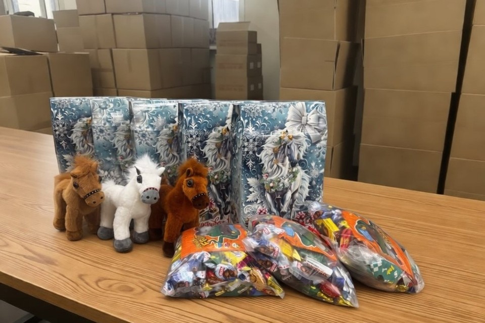    Фото: пресс-служба краевого правительства