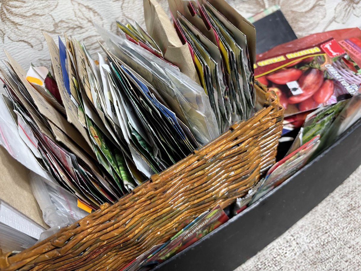 семена которые сажала ранее