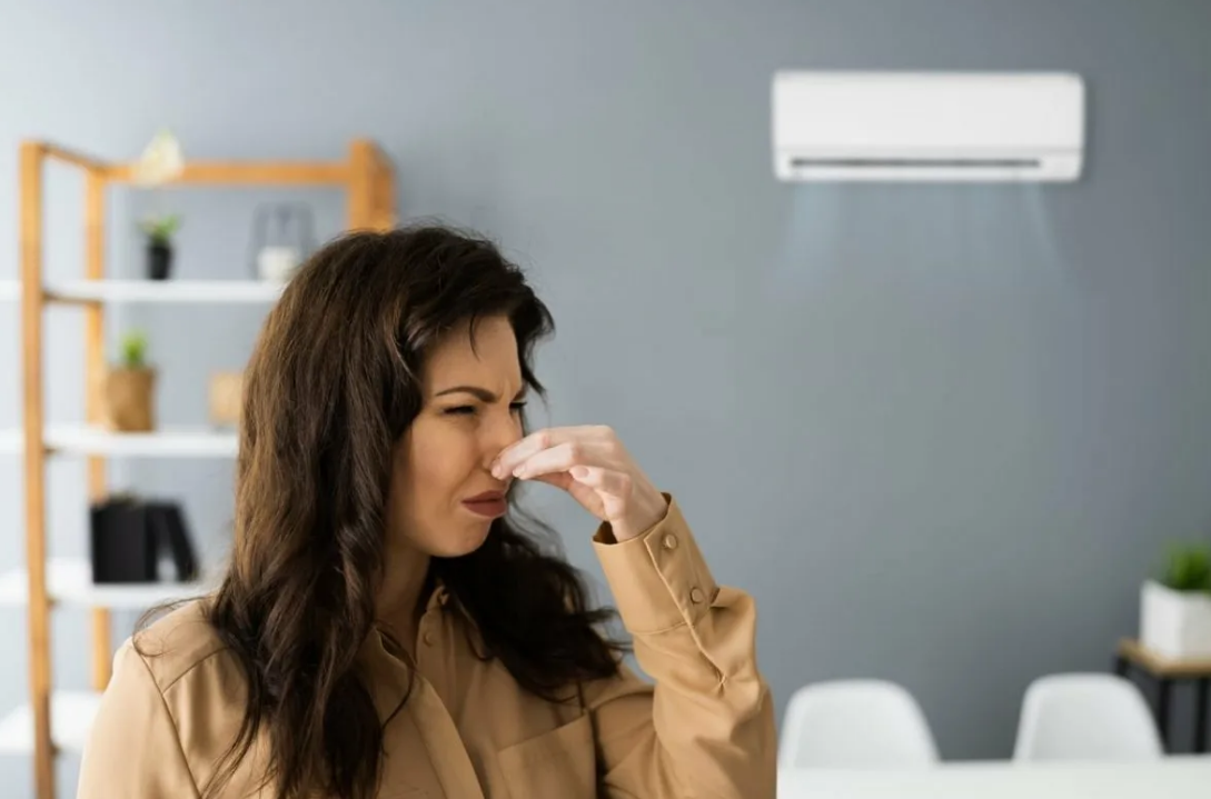 Фотография из открытых источников