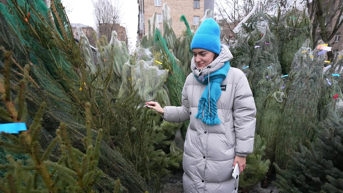 Фото: ИЗВЕСТИЯ/Дмитрий Коротаев