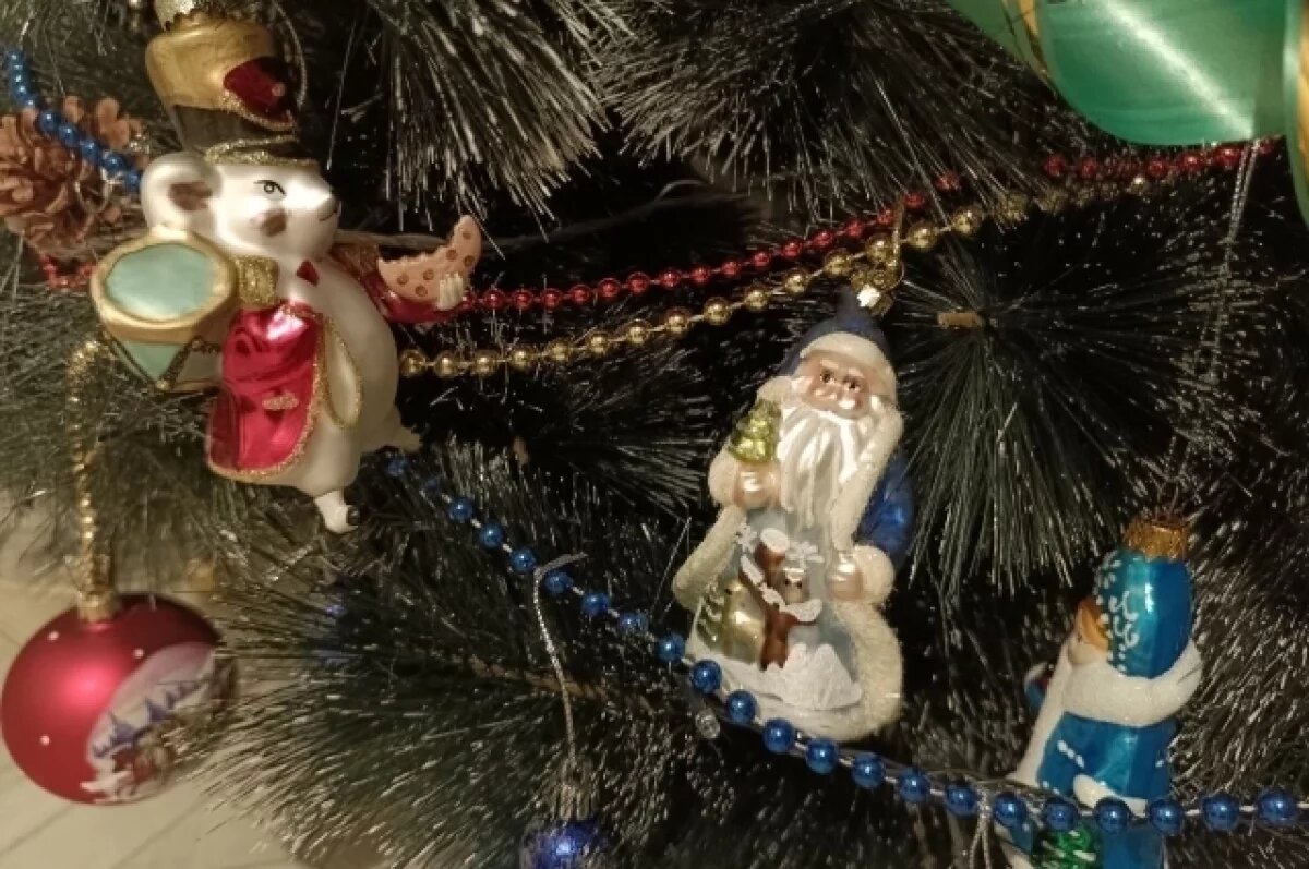    Стало известно, где туляки планируют встречать Новый год