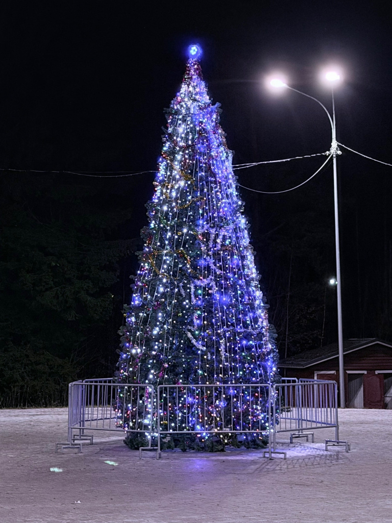    Гринч с Дедом Морозом зажгли елку в СуоярвиЕлена Смирнова / VK
