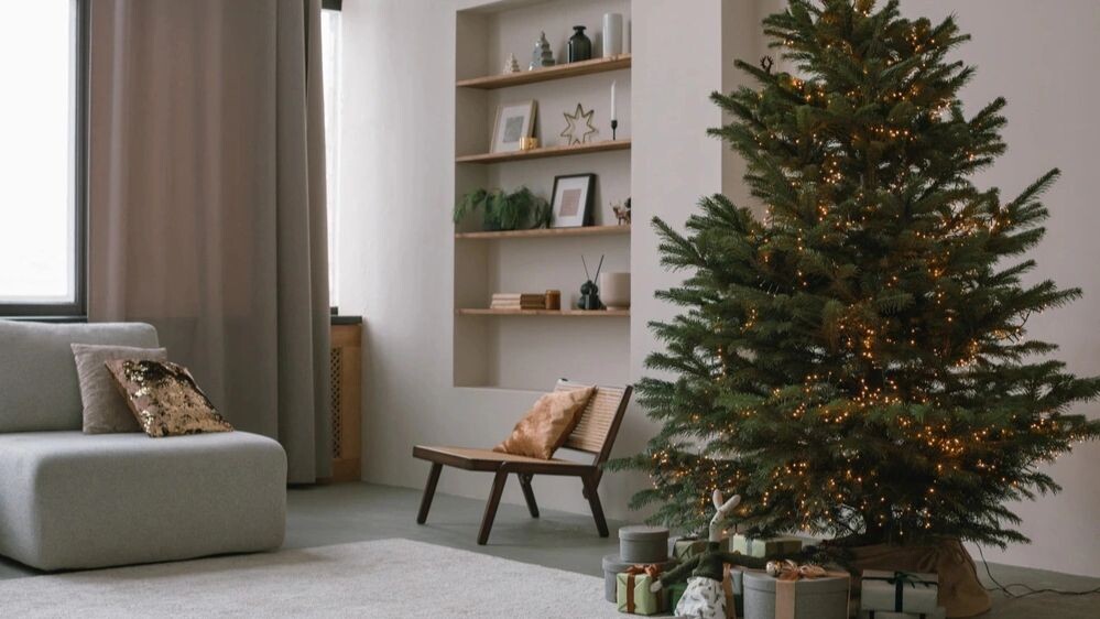    Фото: Creative Nina/Shutterstock/Fotodom