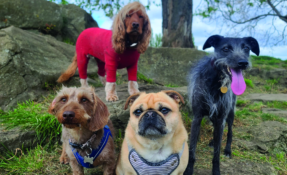 Фото: Shutterstock.com/