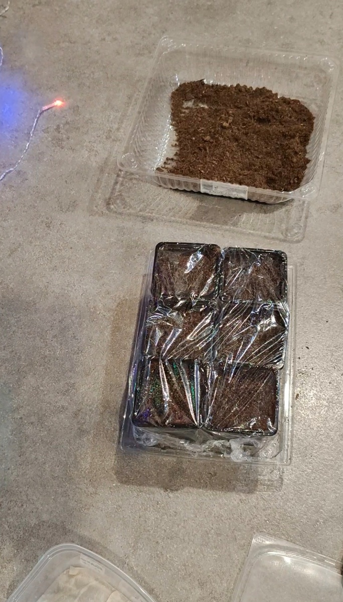 Теперь в холодильник на 10 дней