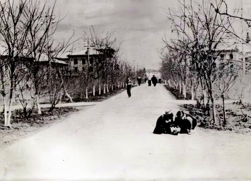 Фото: фонд МБУ «Волжский музейно-выставочный комплекс»В сердце Волжского, на улице Комсомольской, притаился уютный сквер с необычной «говорящей» достопримечательностью — скульптурой суслика‑землекопа. Если навести смартфон на QR‑код на табличке, перед вами оживёт история места, где переплетаются судьбы, труд и романтика первых лет города.📷
