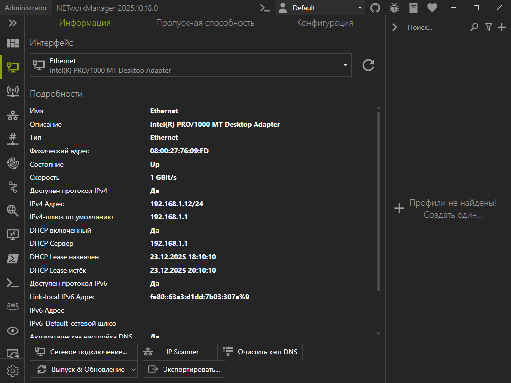 NETworkManager, это всё, что я могу показать вам на скрине