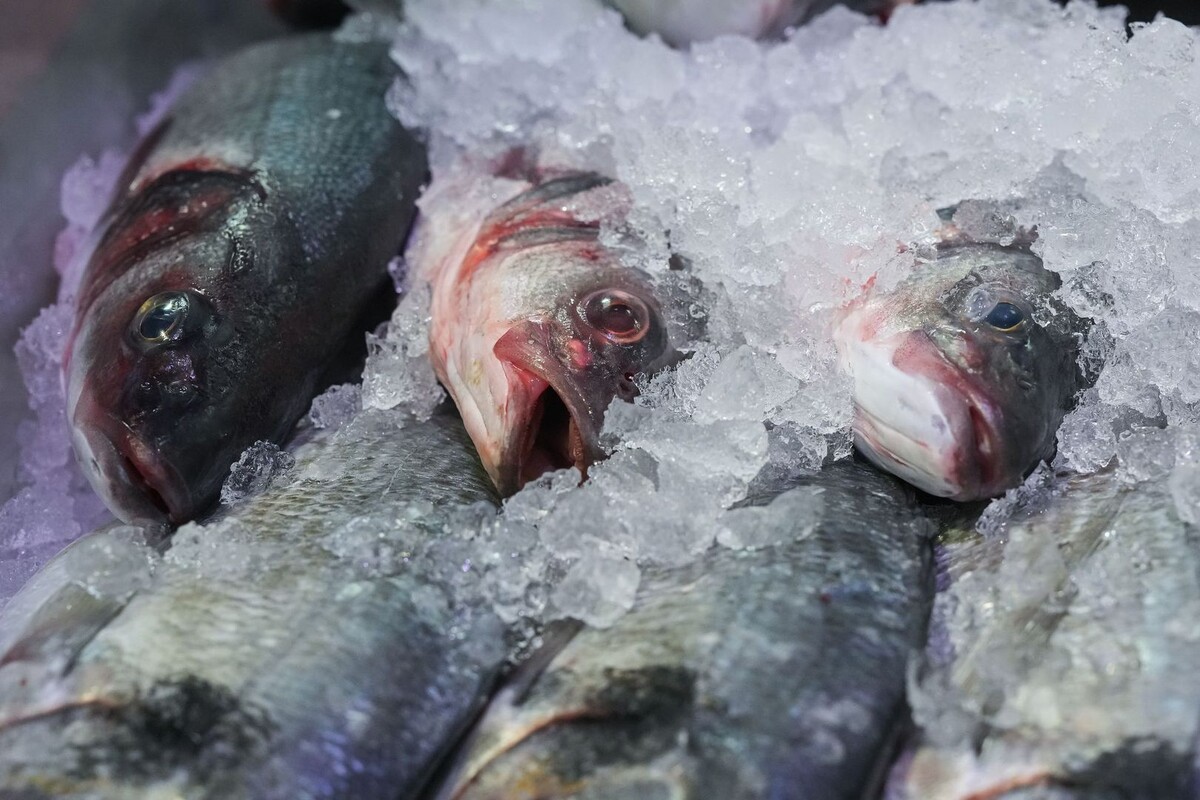     / Источник: © ИЗВЕСТИЯ/Дмитрий Коротаев