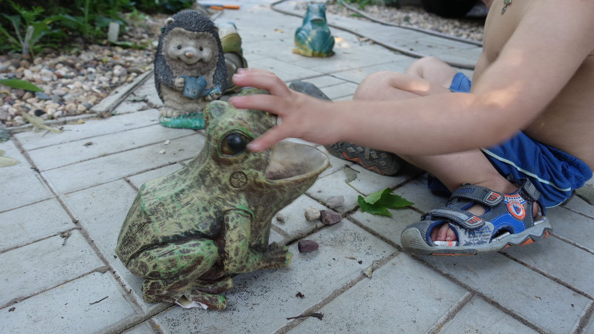 Кормит лягушку в гостях