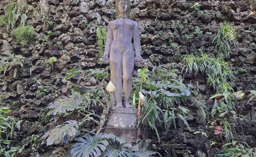 Дом тени или холодная теплица ботанического сада Коимбры